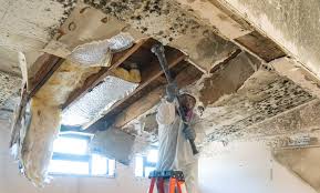 Best Industrial Mold Remediation  in Broadmoor, CA